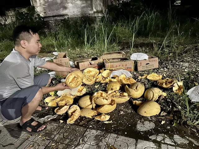 Đoàn Xe Ô Tô Vận Chuyển 145 Tấn Hàng