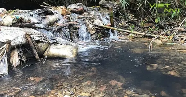 Ảnh Hưởng Của Dầu Mỡ Thải Với Môi Trường