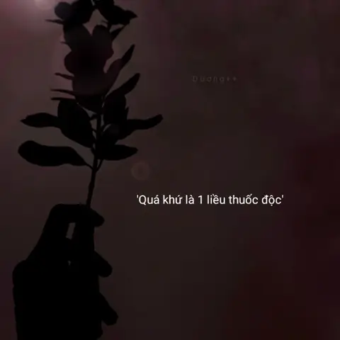 Ảnh Avatar Nữ Siêu Deep: Phản Chiếu Sự Nhạy Cảm Sâu Sắc