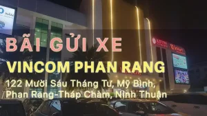 Tổng Quan Về Nhu Cầu Bãi Giữ Xe Ô Tô Tại Ninh Thuận