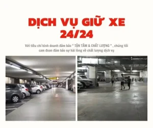Tổng Quan Nhu Cầu Tìm Bãi Giữ Xe Ô Tô Tại Quận 8