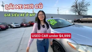 Tiêu Chí Đánh Giá Bãi Rã Xe Ô Tô Cũ Uy Tín