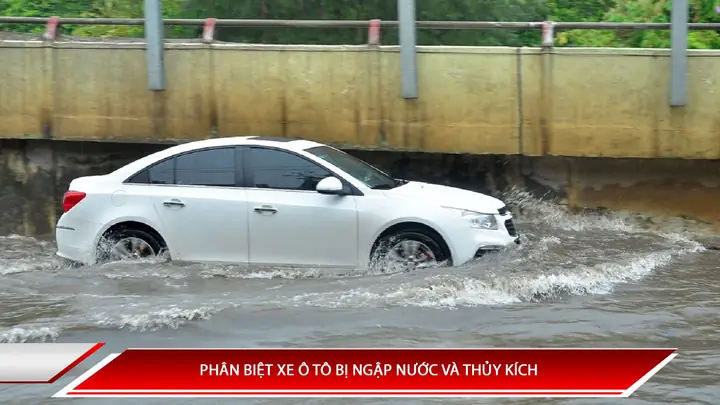 Thu Phí Xe Điện Theo Quãng Đường Để Bù Đắp Hụt Thu...