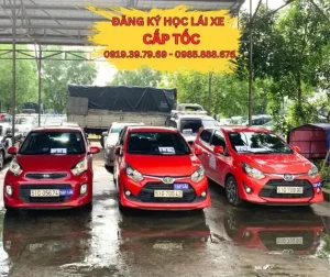 Tại Sao Chọn Trường Tiến Thành Để Học Bằng Lái Xe Ô Tô?