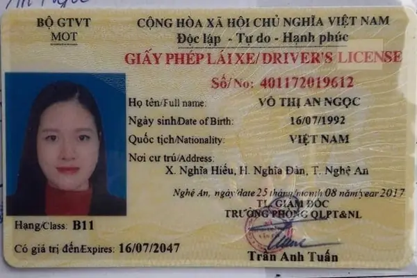 Bằng Lái Xe Ô Tô B1 Là Gì? Toàn Cảnh Về Hạng Giấy Phép Lái Xe Phổ Biến Nhất