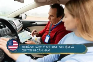 Bằng Lái Xe Ô Tô B1 Là Gì? Toàn Cảnh Về Hạng Giấy Phép Lái Xe Phổ Biến Nhất