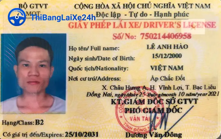 Phân Biệt Bằng Lái Xe B1 Và B2