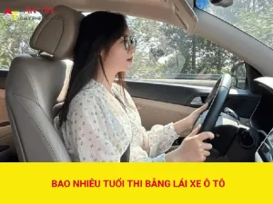 Cách Tính Tuổi Thi Bằng Lái Xe Ô Tô Chuẩn Xác