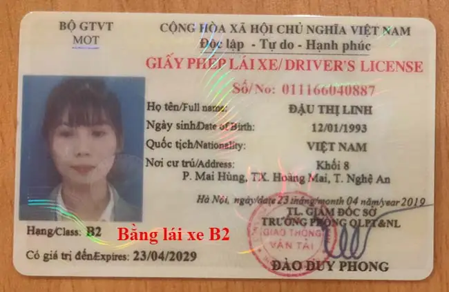 Bằng Lái Xe Ô Tô Là Bằng Gì? Phân Loại Và Hướng Dẫn Chọn Bằng Phù Hợp Sau 2025