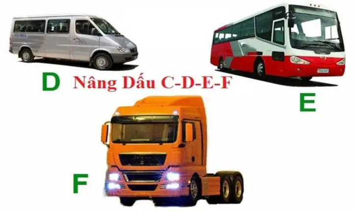 Tiêu Chí Để Thi Và Nâng Hạng Bằng E