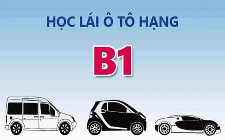 Điều Kiện Và Thời Hạn Sử Dụng Bằng B1