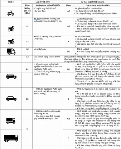 Bằng Lái Xe Ô Tô Nào Cao Nhất? Giải Mã Chi Tiết Các Hạng Giấy Phép Lái Xe