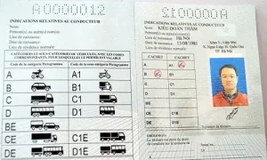 Bằng Lái Xe Ô Tô Quốc Tế Là Gì? Hướng Dẫn Chuyển Đổi Từ Gplx Việt Nam Sang Idp