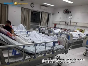 2/ Những Đối Tượng Không Nằm Trong Phạm Vibảo Hiểm Tai Nạn Người Ngồi Trên Xe