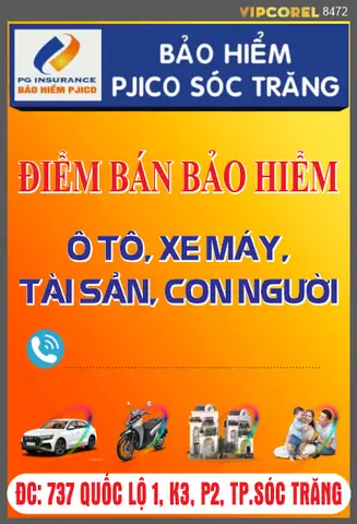 Bảo Hiểm Ô Tô Xe Máy Pjico: Hướng Dẫn Mua Trực Tuyến & So Sánh Chi Tiết
