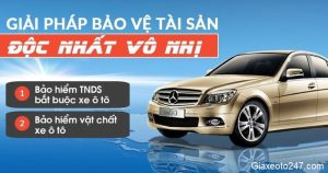 bao hiem than vo vf3 3