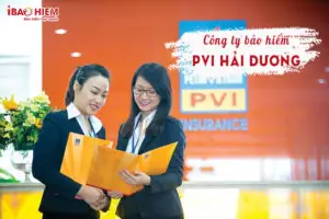 Cong Ty Bao Hiem Pvi Hai Duong