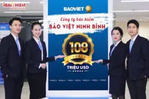 Cong Ty Bao Hiem Bao Viet Ninh Binh