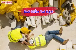 Bao Hiem Tai Nan