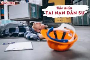 Bao Hiem Tai Nan Dan Su