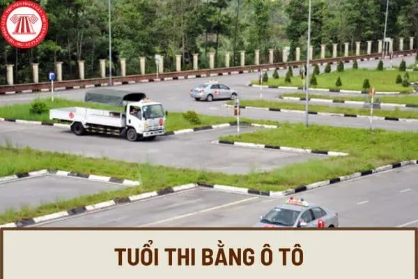 Bao Nhiêu Tuổi Được Thi Bằng Ô Tô?