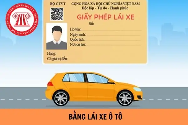 Bao Nhiêu Tuổi Thì Không Được Lái Xe Ô Tô?