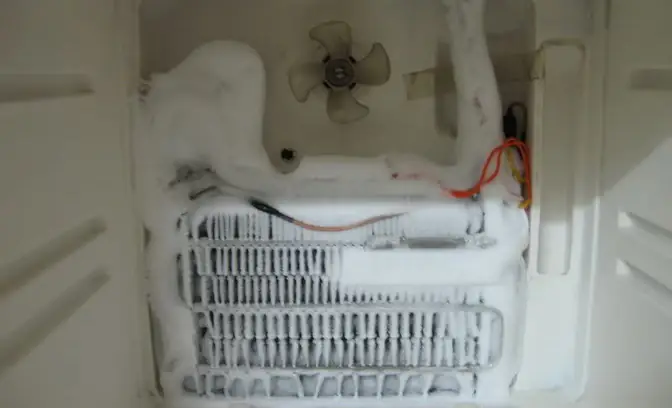 Có Vật Cản Ở Cánh Quạt Tủ Lạnh