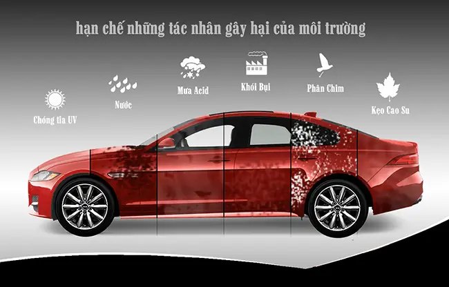 Vì Sao Nên Sử Dụng Bạt Phủ Ô Tô?