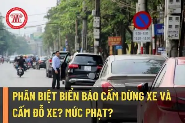 Cấm Dừng Xe Và Cấm Đỗ Xe Được Quy Định Như Thế Nào?