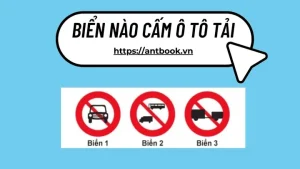 Quy Tắc Cấm Lớn Cấm Nhỏ: Biển Nào Cấm Ô Tô Tải?