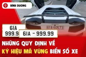 Chi Tiết Biển Số Xe Tỉnh Bình Dương Theo Từng Huyện, Thành Phố Mới Nhất 2025