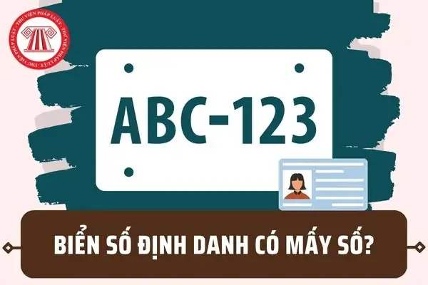 Biển Số Định Danh Có Mấy Số?