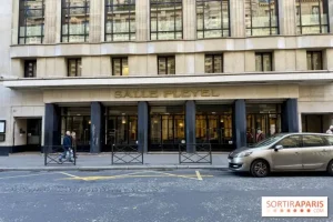 Biểu Diễn Xe Ô Tô: Hiểm Họa, Pháp Luật Và Những Hệ Lụy Xã Hội