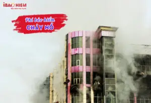 Phi Bao Hiem Chay No