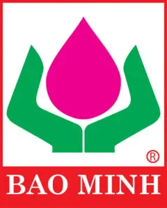 Minh Họa Bảo Hiểm Bảo Minh