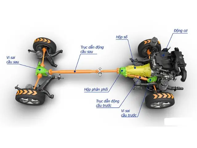 Bộ Vi Sai Xe Ô Tô: Cấu Tạo, Nguyên Lý & Bảo Dưỡng Toàn Tập