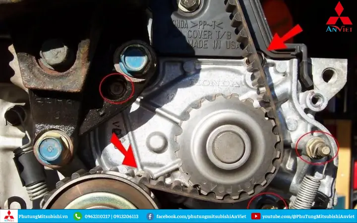 Bước 4: Làm Sạch Và Lắp Đặt Bơm Nước Mới