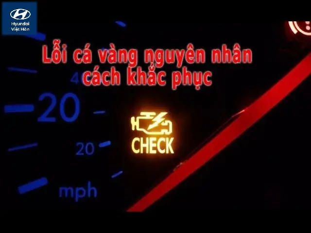 Cá Vàng Nổi Xe Ô Tô Là Bệnh Gì? Giải Đáp Dấu Hiệu & Cách Xử Lý
