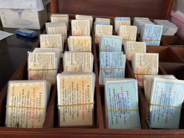 Cà Vẹt Xe Ô Tô Là Gì?