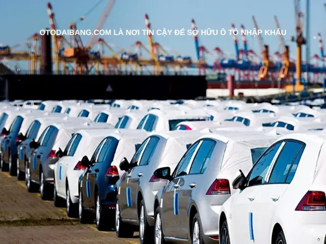 Đa Dạng Lựa Chọn