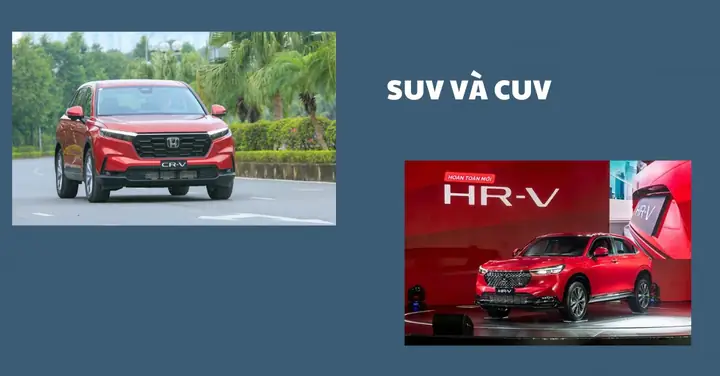 Phân Biệt Suv Với Cuv