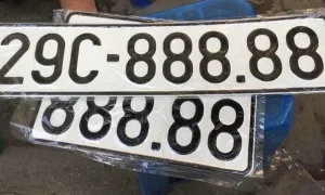 Những Quyền Lợi Của Người Trúng Đấu Giá Biển Số Xe Ô Tô