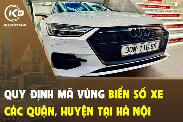 Các Loại Biển Số Xe Ô Tô Hiện Hành: Tổng Hợp Chi Tiết Nhất Về Ký Hiệu, Màu Sắc Và Quy Định