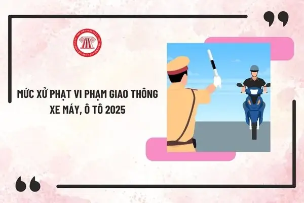Mức Xử Phạt Vi Phạm Giao Thông Xe Máy, Ô Tô Vượt Đèn Đỏ 2025?