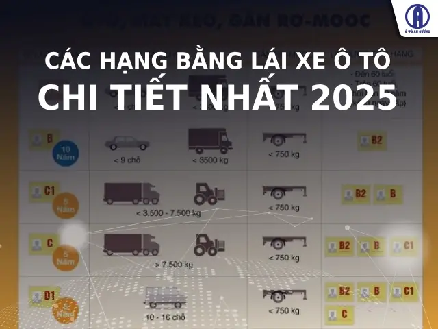 Các Mẫu Giấy Chứng Nhận Lái Xe Ô Tô: Tổng Hợp Và Hướng Dẫn Chi Tiết