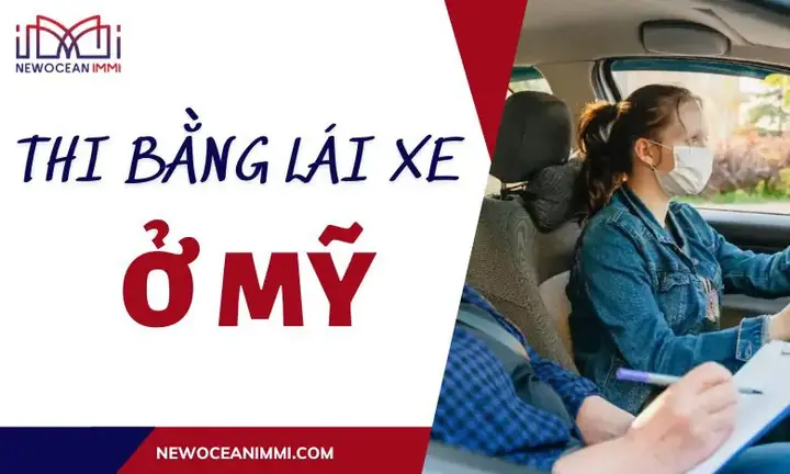 Các Mẫu Giấy Chứng Nhận Lái Xe Ô Tô: Tổng Hợp Và Hướng Dẫn Chi Tiết