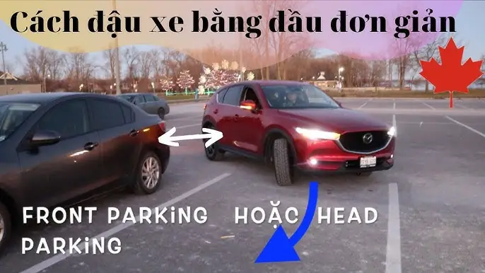 Hướng Dẫn Chi Tiết Cách Gửi Xe Ô Tô Vào Sài Gòn An Toàn Và Tiết Kiệm