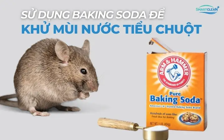 Cách 2: Sử Dụng Baking Soda Để Khử Mùi Nước Tiểu Chuột