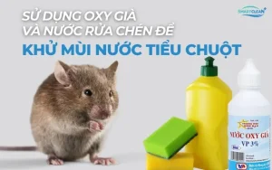 Cách 3: Sử Dụng Nước Rửa Chén Và Oxy Già Để Diệt Khuẩn Và Khử Mùi Nước Tiểu Chuột
