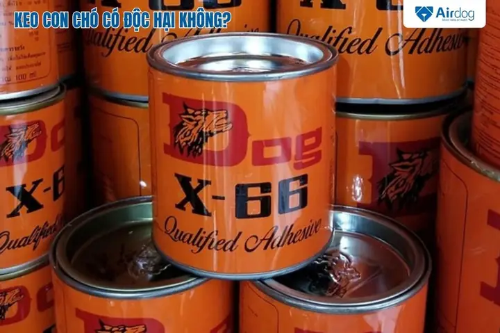 Keo Con Chó Có Độc Hại Không?